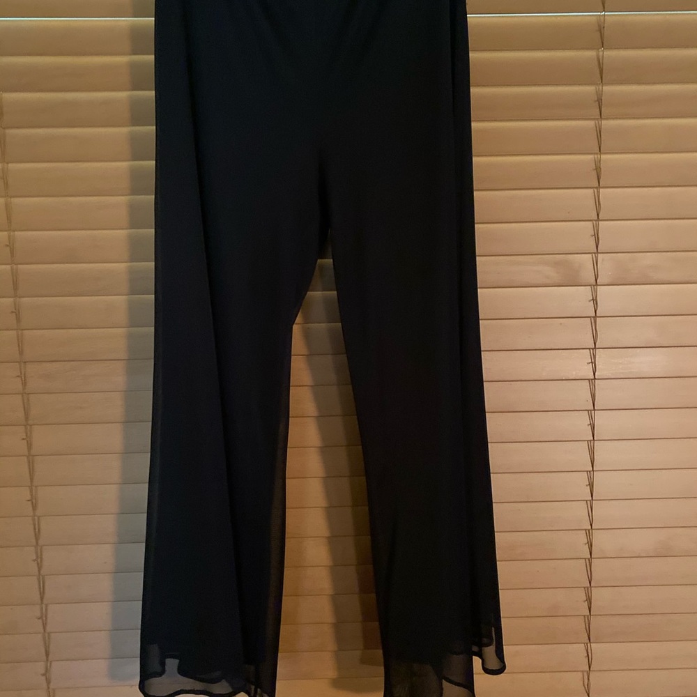 2layer (sheer top) party pants
